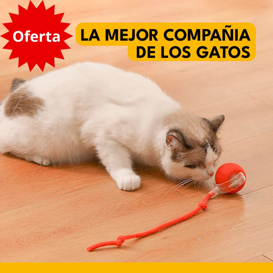 CatSphere - Pelota inteligente 🐈🧶